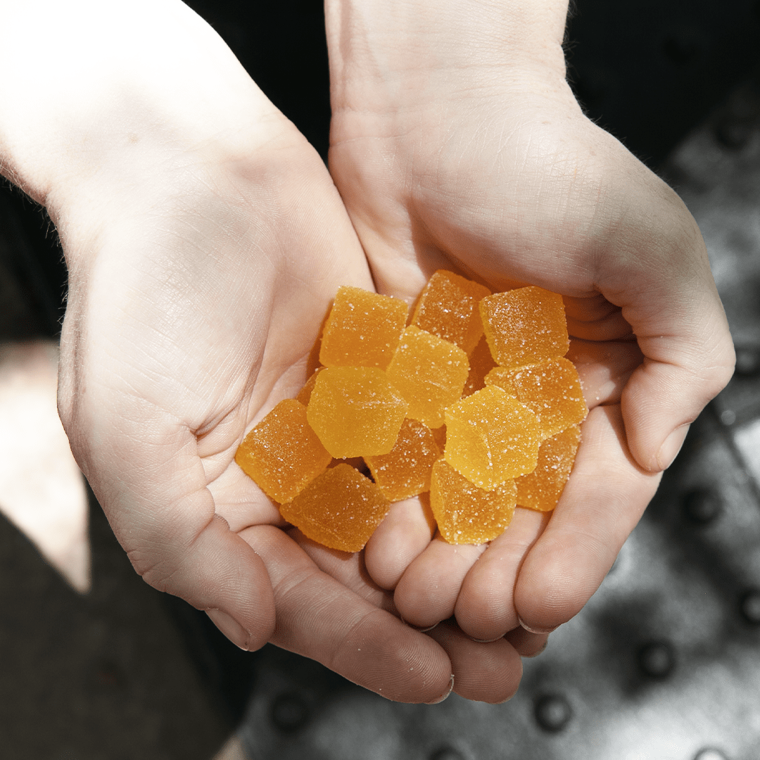 Moonwlkr - CBD: CBN : THC Sleep Gummies — Sample Pack - Indakouch